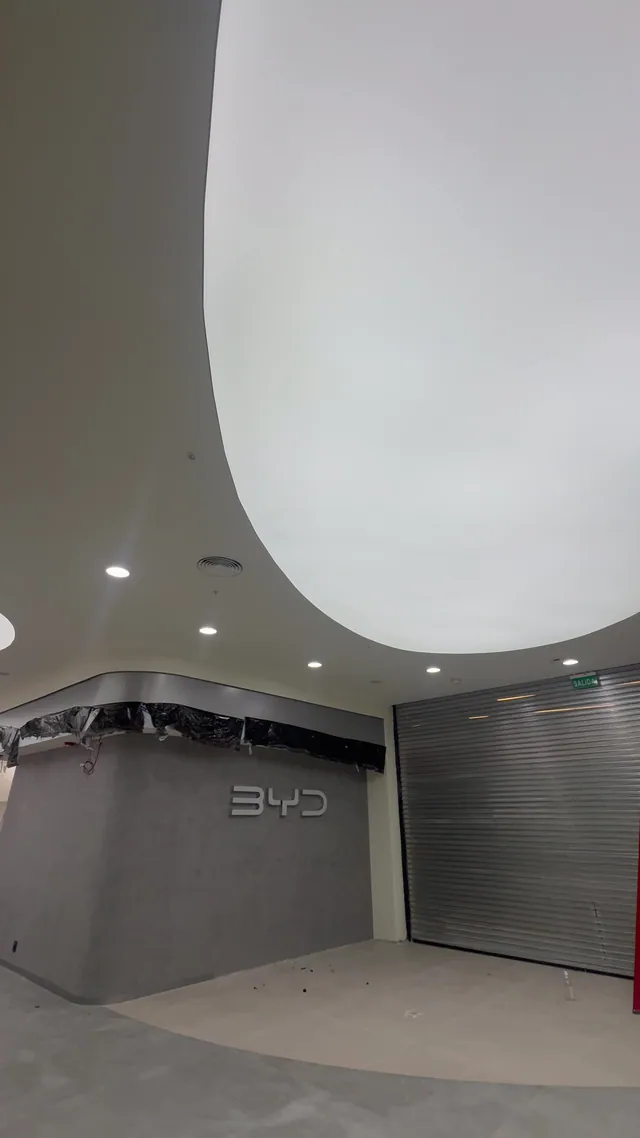 Cielorraso transl&uacute;cido colocado sobre el sector con el logo de BYD